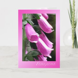 Foxglove Greeting Card