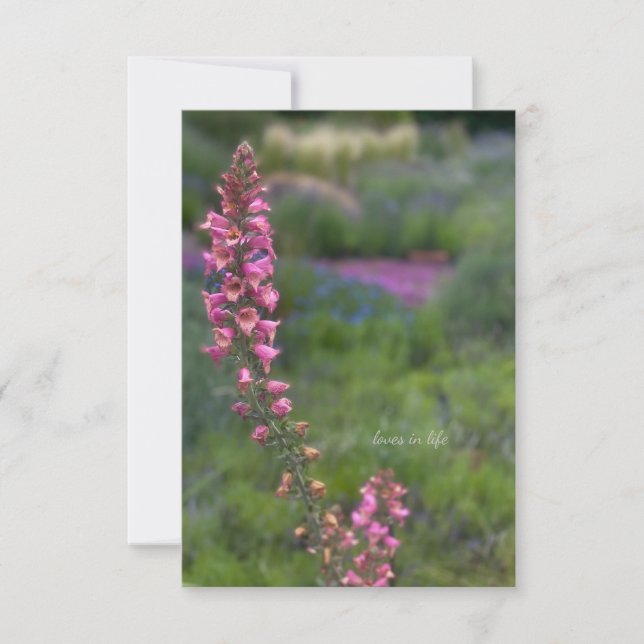 Foxglove in Perennial Garden Note Card (Front)