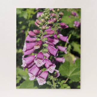 Foxglove Jigsaw Puzzle