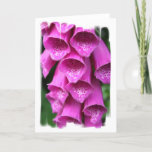 Foxglove Plant Greeting Card