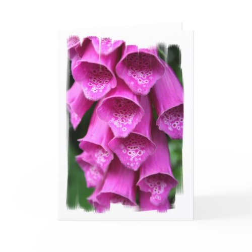 Foxglove Plant Greeting Card