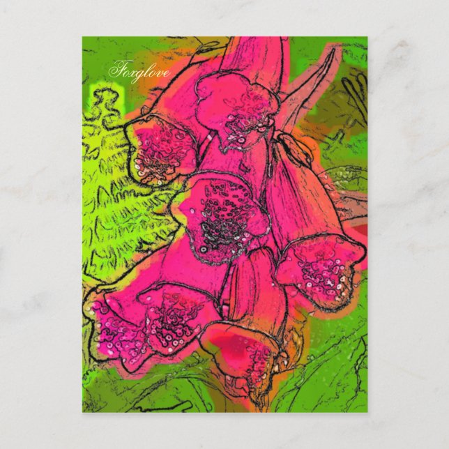 FOXGLOVES POSTCARD (Front)