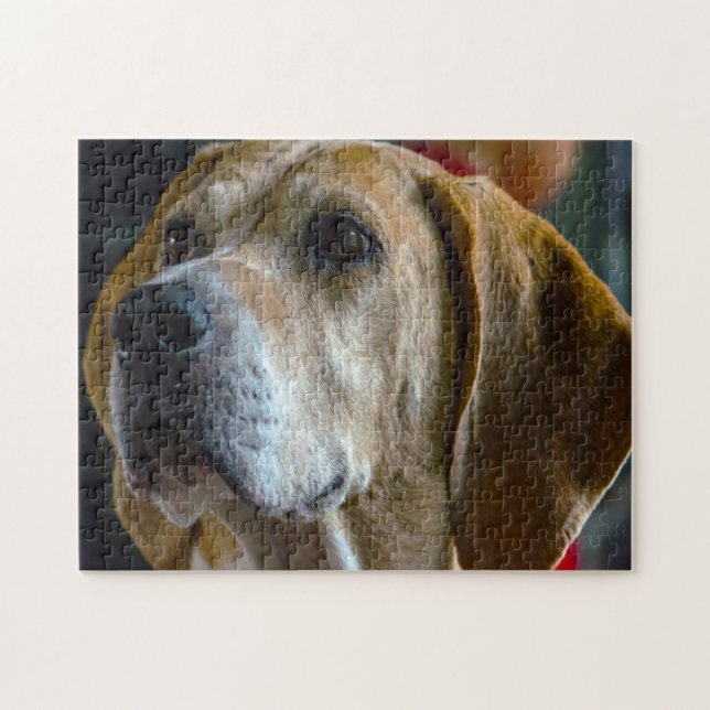 Foxhound Dog. Jigsaw Puzzle (Horizontal)