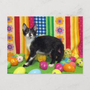 Foxi Moxi's Easter Postcard