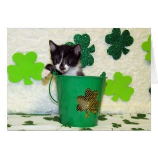 Foxi Moxi's St. Patrick's Day Greeting Card