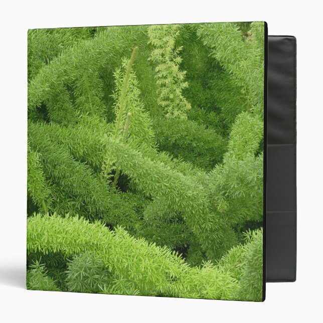 Foxtail Fern, Asparagus densiflorus myers Binder (Front/Inside)