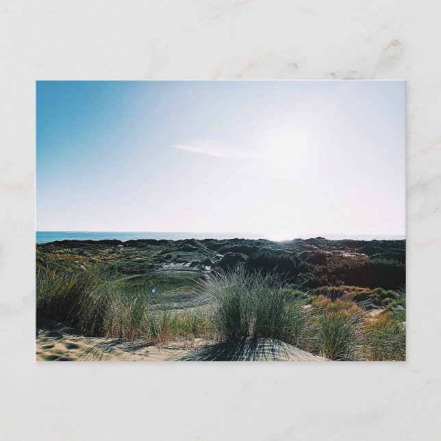 Foxton Beach Dunes Postcard (Front)