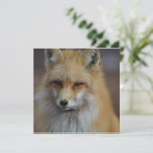 Foxy Fox (Standing Front)