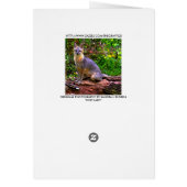 FOXY LADY CARDS (Back)