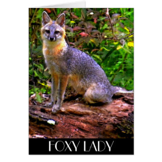 FOXY LADY CARDS