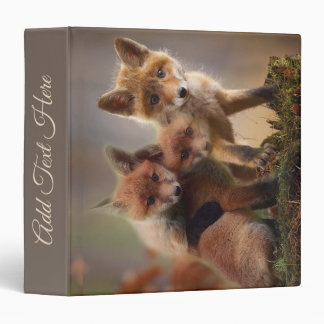 Foxy Triplets 3 Ring Binder