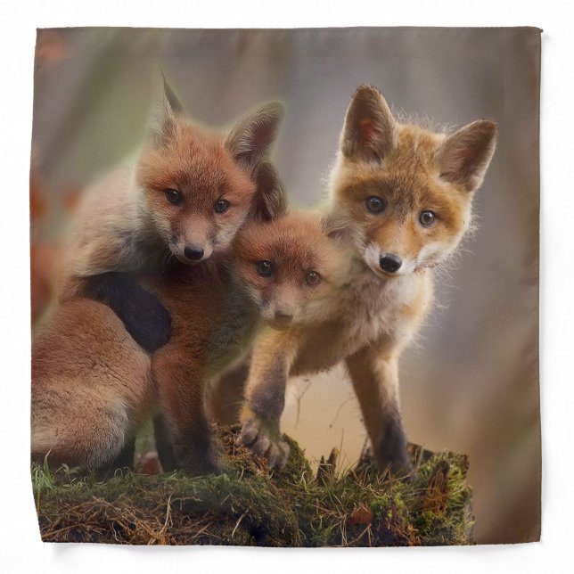 Foxy Triplets Bandana (Front)