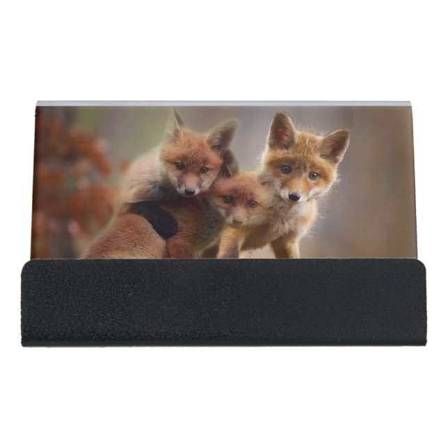Foxy Triplets Desk Business Card Holder (Front)