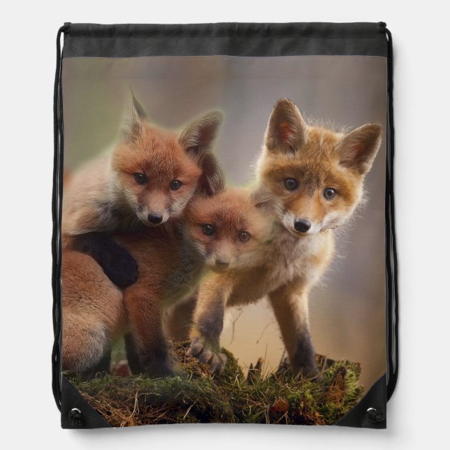 Foxy Triplets Drawstring Bag (Front)