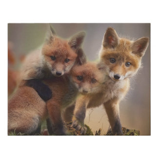 Foxy Triplets Faux Canvas Print