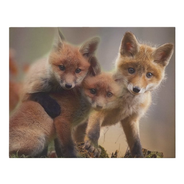 Foxy Triplets Faux Canvas Print (Front)