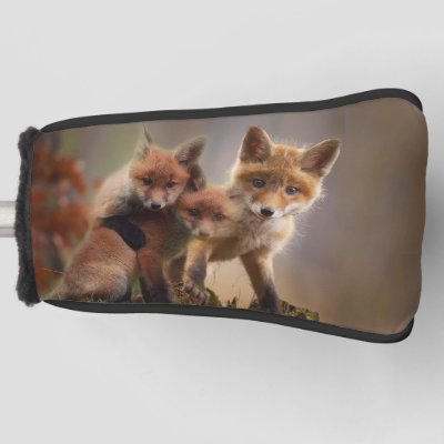 Foxy Triplets