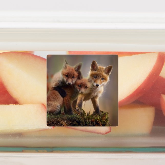 Foxy Triplets Labels (Affixed)