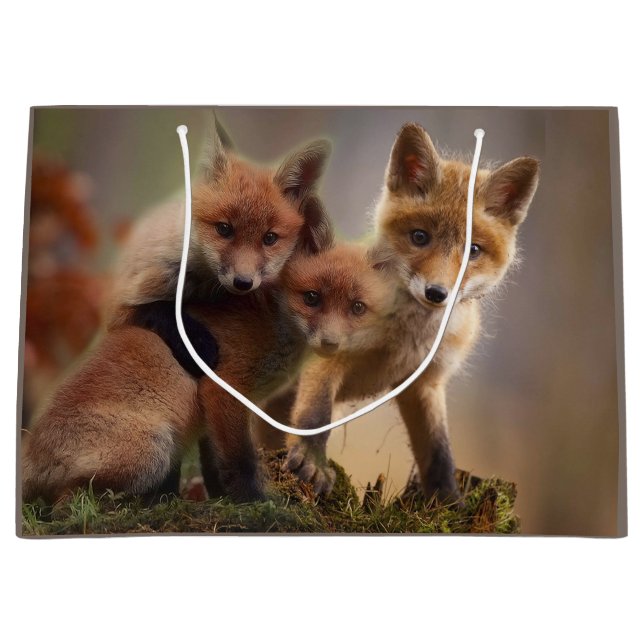 Foxy Triplets Large Gift Bag (Front)