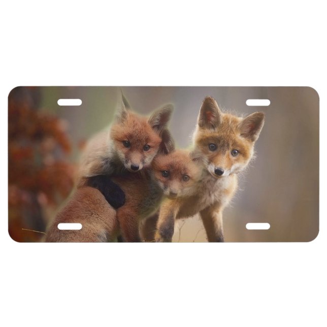 Foxy Triplets License Plate (Front)