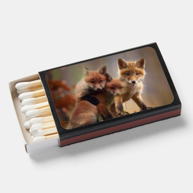Foxy Triplets Matchboxes (Front Open)