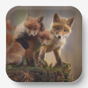 Foxy Triplets Paper Plates
