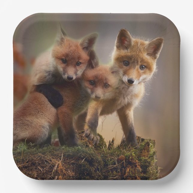 Foxy Triplets Paper Plates (Front)
