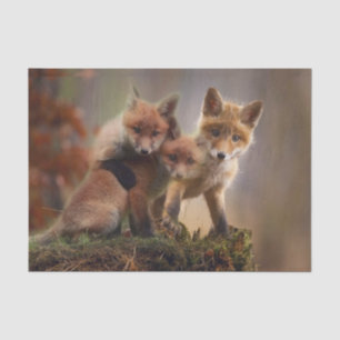 Foxy Triplets Tissue Paper