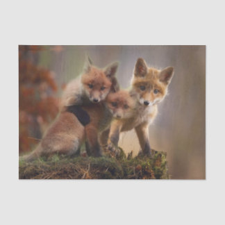 Foxy Triplets Tissue Paper