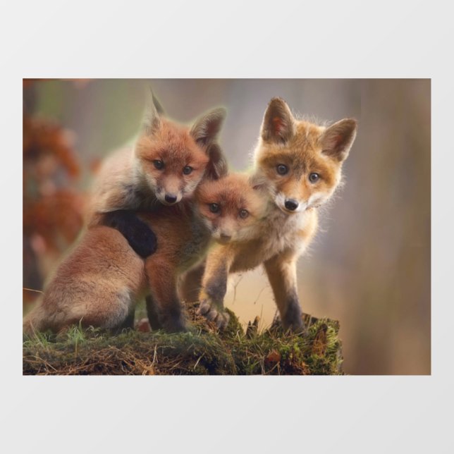 Foxy Triplets Window Cling (Sheet)