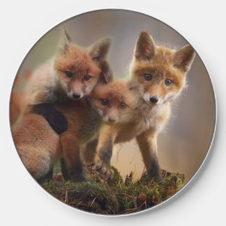 Foxy Triplets Wireless Charger