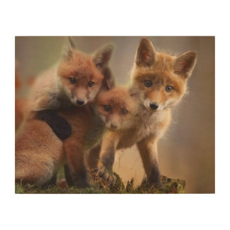 Foxy Triplets Wood Wall Art