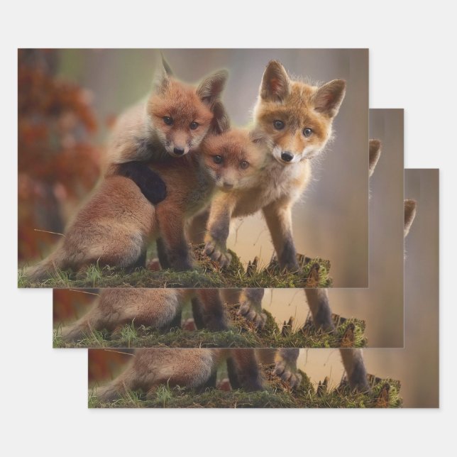 Foxy Triplets Wrapping Paper Sheets (Set)