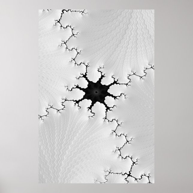 Fracked Black and White Cracked Fractal Abstract Poster (Front)