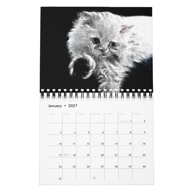 Fractal Animal Portraits 2012 Calendar (Jan 2027)