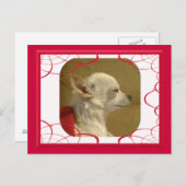 Fractal Chihuahua Postcard (Front/Back)
