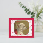 Fractal Chihuahua Postcard (Standing Front)
