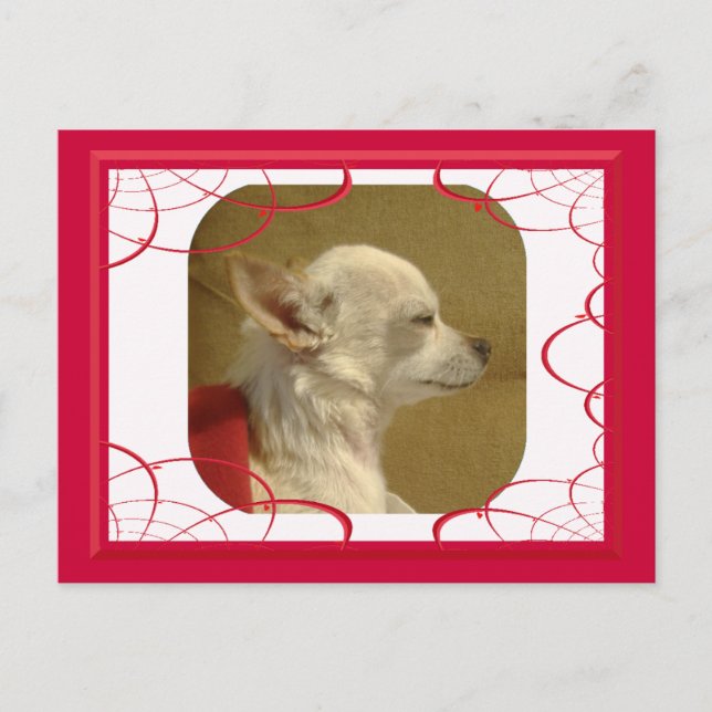 Fractal Chihuahua Postcard (Front)