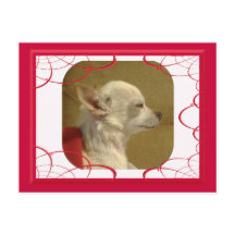Fractal Chihuahua Postcard