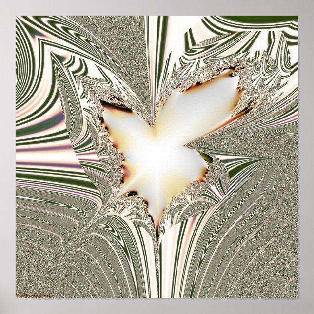 Fractal Projection 1.5.1 Poster (Front)