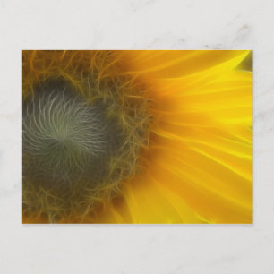 Fractal sunflower postcard