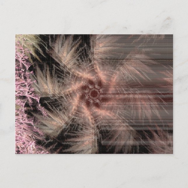 fractalfan Postcard (Front)