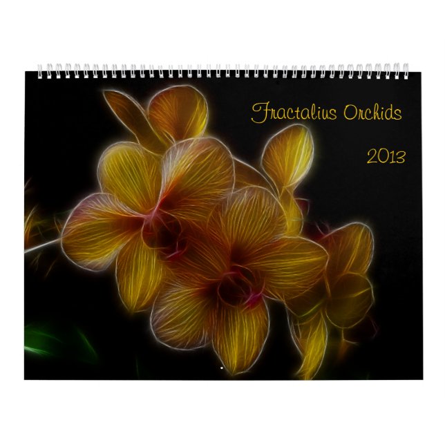 Fractalius Orchids 2012 Calendar (Cover)