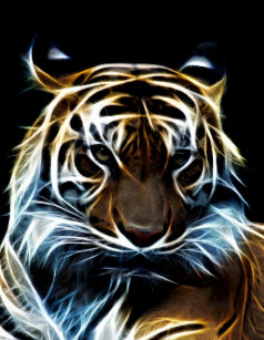 Of Tigers Home Decor Furnishings Pet Supplies Zazzle