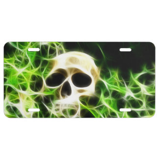 Fractalized skull license plate