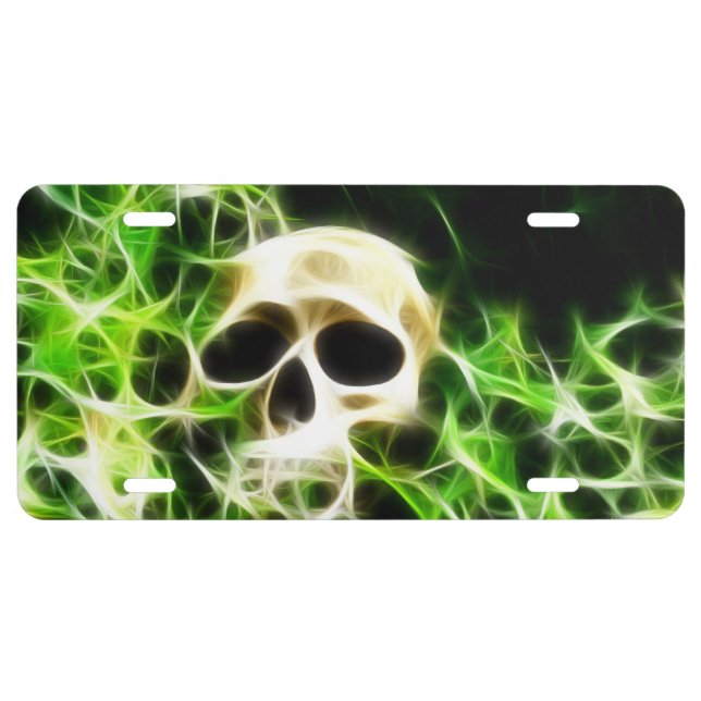 Fractalized skull license plate (Front)