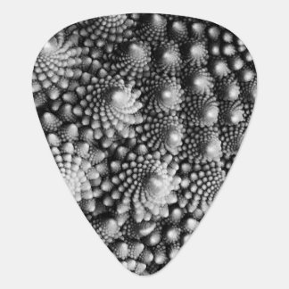 Fractals in Vegetable Aisle, Romanesco Broccoli Guitar Pick