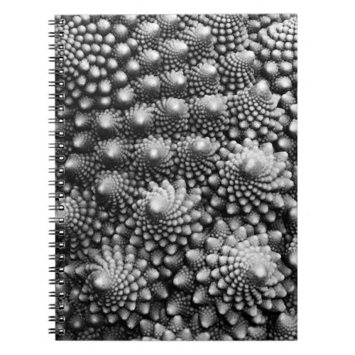 Fractals in Vegetable Aisle Romanesco Broccoli Notebook