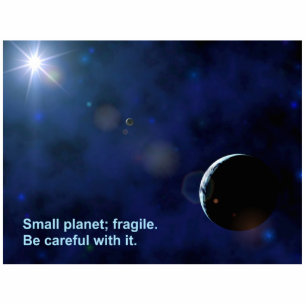 Fragile Planet Statuette