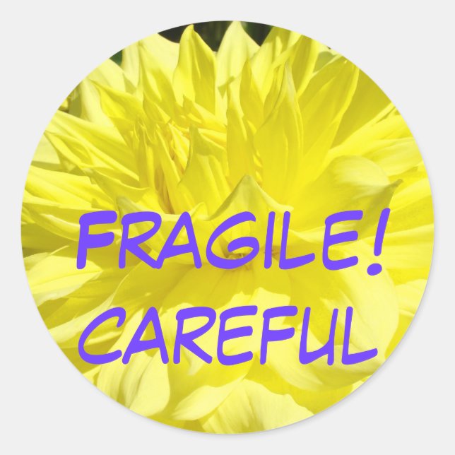 Fragile! stickers Careful stickers Moving Packing (Front)